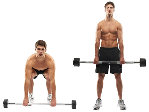 3 Best Exercises Strengthen The Glutes And Reduce Pain Introduction Basic Anatomy